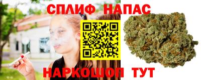 гидра Бийск