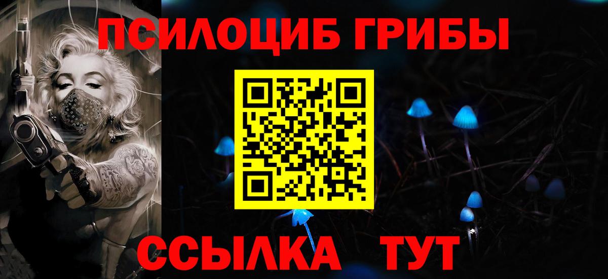 Псилоцибиновые грибы Psilocybine cubensis  Вход с VPN  Кизилюрт 