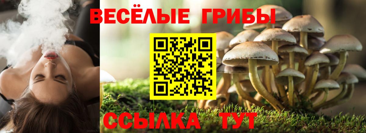 Псилоцибиновые грибы прущие грибы Кизилюрт